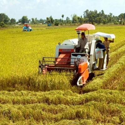 Dịch vụ sau thu hoạch